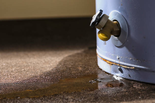Best Flood damage cleanup  in Livingston, AL