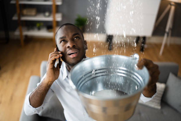  Livingston, AL Water damage restoration Pros
