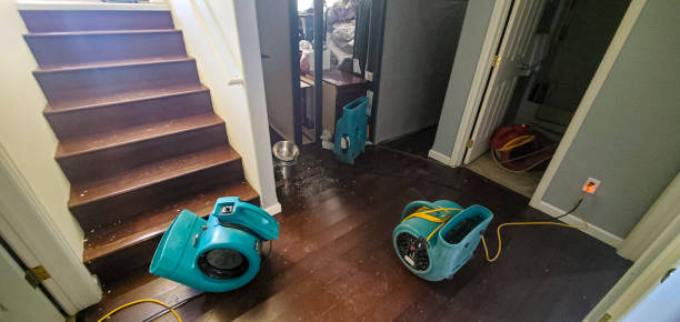 Best Water damage restoration near me  in Livingston, AL