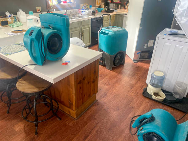 Best Professional water damage repair  in Livingston, AL