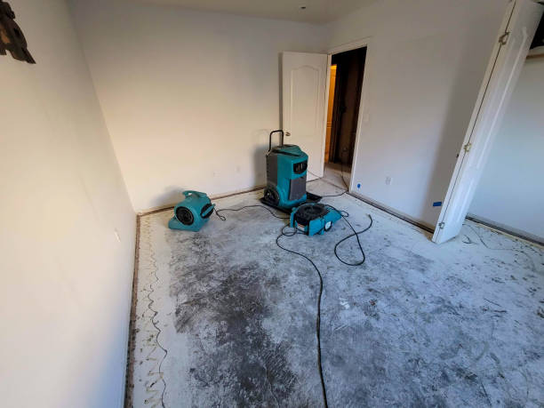 Best Carpet water damage restoration  in Livingston, AL