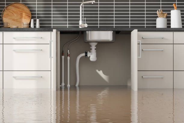 Best Ceiling water damage repair  in Livingston, AL