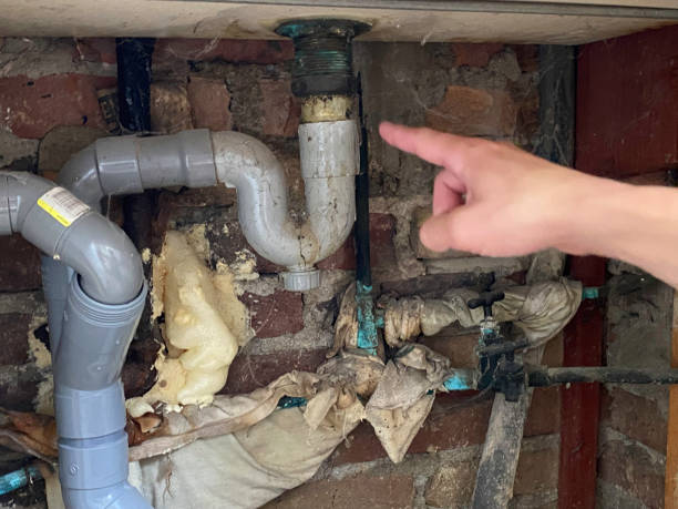 Best Local water damage restoration  in Livingston, AL